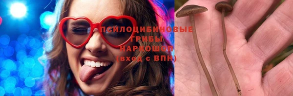 дурь Магас