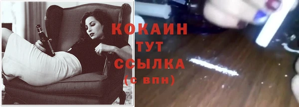 дурь Магас