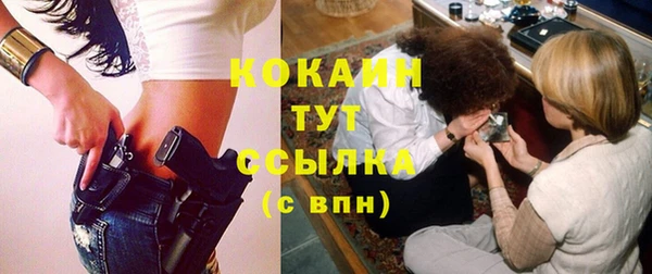 гашик Майский