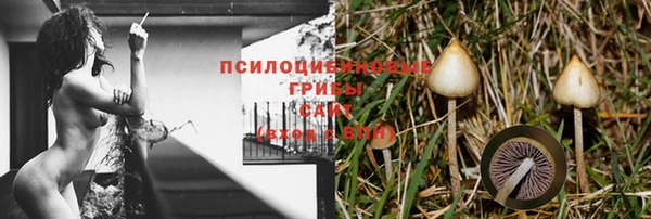 спиды Магадан