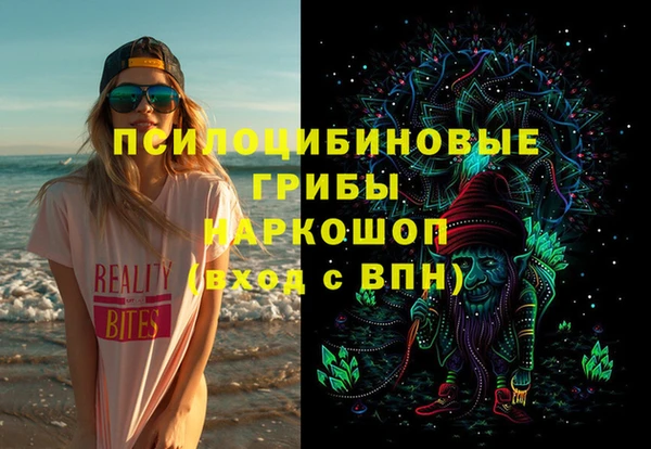 дурь Магас