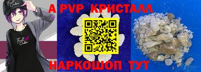 ECSTASY Гатчина