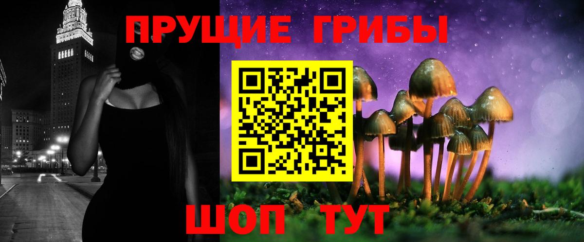 купить наркоту  Псилоцибиновые грибы Cubensis  Надым  Галлюциногенные грибы прущие грибы 